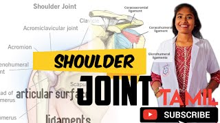 shoulder joint anatomy  ligaments artoculating surfaces clinical anatomy shoulder dislocation [upl. by Aenotna]