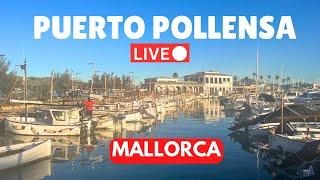 🔴LIVE in Puerto Pollensa Majorca Mallorca  4 February 2024 [upl. by Ortrude768]