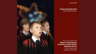 Christmas Oratorio BWV 248 Pt II Aria Schlafe mein Liebster genieße der Ruh [upl. by Davida168]