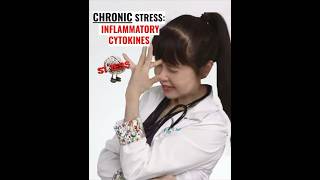 Chronic Stress and Inflammatory Cytokines [upl. by Je486]