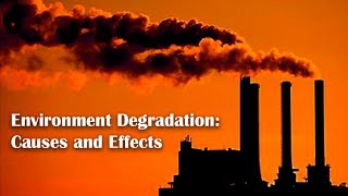 Environment Degradation Causes and Effects [upl. by Haduj]