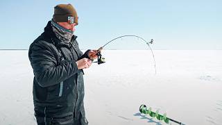 The Best Perch Ice Fishing Ive Ever Seen [upl. by Latvina]