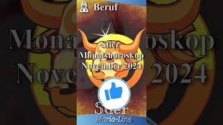 Stier BERUF 👷‍♀️ Horoskop November 2024 [upl. by Lamonica138]