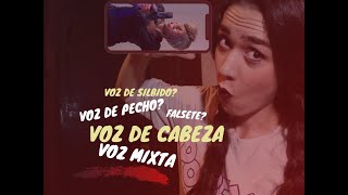 Registros Vocales 7  Todo lo que necesitas saber con Ejercicios  CLASES DE CANTO [upl. by Naryk]