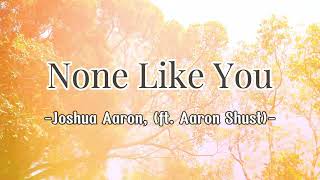 None Like You Joshua Aaron ft Aaron Shust with lyrics [upl. by Euhc]