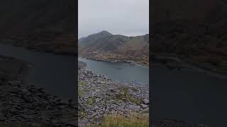 Hungarian Vizsla at Dinorwig quarry [upl. by Zabrina]