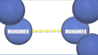 Monomers vs Polymers  Biology Tutorial [upl. by Eidnil]