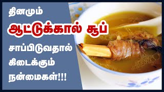 ஆட்டுக்கால் சூப் மருத்துவ பயன்கள்  Goat Leg Soup Benefits in Tamil  Aatu kaal Paya  Health Tips [upl. by Amara292]