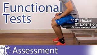 Functional Assessment in Physiotherapy [upl. by Relyc]