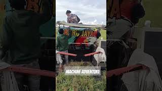 First Harvest riceharvester farming combineharvester [upl. by Enael]