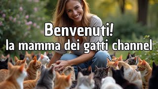 Benvenuti su La Mamma dei Gatti Channel 🐱 [upl. by Jeromy75]