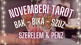 ✨ Bak Bika Szűz november havi tarot ✨ szerelem ❤️ pénz 💸 ✨ Mit hoz ez a hónap ✨ [upl. by Elinor]