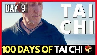 Where Do the Eyes LOOK in Tai Chi  100 Days of Tai Chi  Learn Tai Chi at Home [upl. by Annirak617]