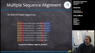 Multiple Sequence Alignment MSA in R Bioinformatics S11E2 [upl. by Grindle387]