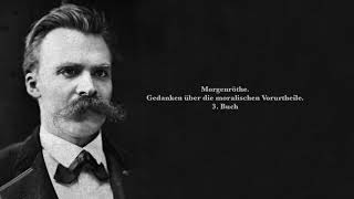 Friedrich Nietzsche Morgenröte Drittes Buch Hörbuch [upl. by Trin]