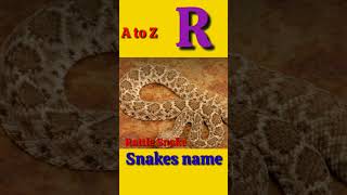 A to Z Snakes A to Z Snakes with pictures amp video ABC Snakes with pronunciation ABC Snakes viral [upl. by Macdonald]