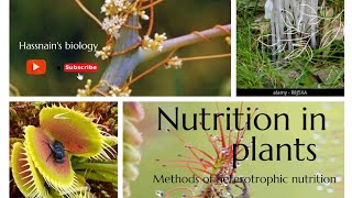 Methods of heterotrophic nutrition in plants biologistasifsaleem0910 [upl. by Gwenora]