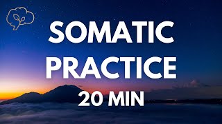 Somatic Exercises for Nervous System Regulation  20 Min Guided [upl. by Rickart667]