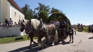 LeonhardiFahrt Siegertsbrunn 2016  Umzug Teil 2 [upl. by Enois]