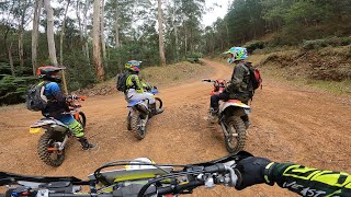 EXPLORE ENDURO RIDE  WHAT A GOOD DAY OUT RIDING [upl. by Peppel]