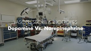 Dopamine vs Norepinephrine  Vasopressors amp Inotropes [upl. by Esinehs]