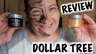 Dollar Tree Global Beauty Gel Mask Review [upl. by Atis]