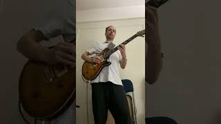 Comfortably Numb with PRS Special 22 semi hollow [upl. by Lefkowitz719]