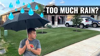 Can Your Lawn Get Too Much Rain [upl. by Leile962]