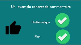 🔴 Un exemple de commentaire composé vidéo 2 Problématique et plan 🔴 [upl. by Loresz]