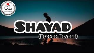 Shayad Slowed Reverb Song Arijit Singh [upl. by Inahteb]