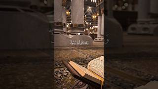 Today Best Quran shortsfeed [upl. by Korney]