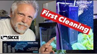 THE BEST INTERNAL FILTER FOR YOUR HOME AQUARIUM Sicce Shark ADV [upl. by Derk]