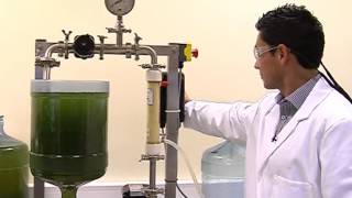 Michael Gerardo Swansea University  membrane filtration harvesting microalgae [upl. by Sib]