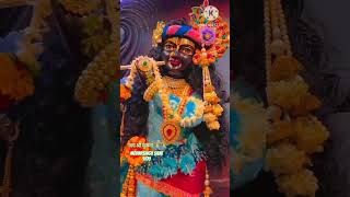 unke kadmo mein gir Jaye mar jaye ham ljai shree Krishna 🙏🙏🚩🚩🙏🙏statusyoutube shorts video [upl. by Graybill]