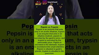 Pepsin vs trypsin  Digestive Enzymes  Pepsin  Trypsin  one minute biology  shorts [upl. by Ahsen]