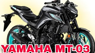 Avaliação YAMAHA MT03 A MOTO MAIS DESEJADA E SONHADA POR MUITOS [upl. by Ghiselin237]