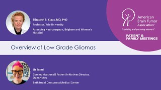 Overview of Low Grade Gliomas [upl. by Dewayne518]