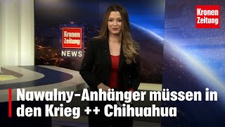 NawalnyAnhänger müssen in den Krieg  Chihuahua [upl. by Epolulot]