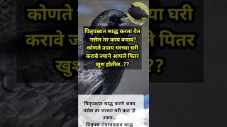 पितृपक्षात श्राद्ध करता येत नसेल तर काय करावं shorts shortstory trendingstory pitrapaksha2023 [upl. by Hastings]