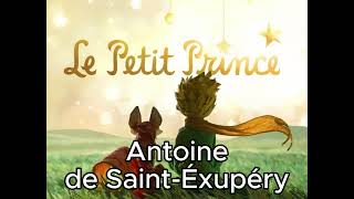 Le petit prince dAntoine de SaintExupéry Chapitre 16  Livre Audio [upl. by Docilu357]