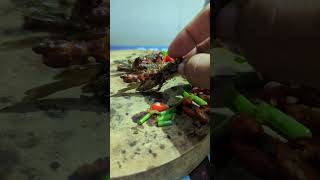 Eating insect food grasshopper shortsvideo brave tasty insects [upl. by Retse]