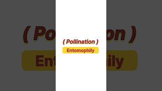 Pollination Entomophily neet neet2025 botany biology aiimsBotanyNeet [upl. by Niven]