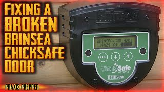 Fixing a Jammed Brinsea ChickSafe Advance Automatic Coop Door Opener [upl. by Lamek889]