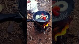 COZINHANDO NA FLORESTA comida saborosa acampamento [upl. by Roberson609]