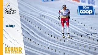 Therese Johaug  FIS Cross Country [upl. by Aik730]