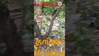 Ambattur Land for Sale East 1200Sqft 7K neg [upl. by Ellingston]