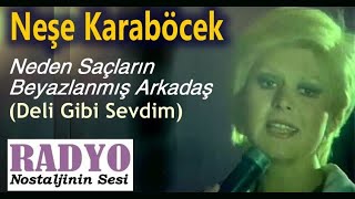 Neşe Karaböcek  Deli Gibi Sevdim Neden Saçların Beyazlanmış Arkadaş [upl. by Polito606]