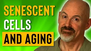 Cellular Senescence and Aging  Slowing Down Aging 2019 [upl. by Enilkcaj358]