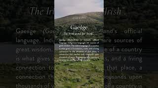 Gaeilge  Irish irishwords irishlanguage ireland irish gaeilge [upl. by Reedy]