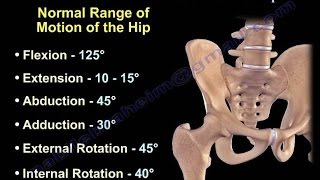 Anatomy of Movement Of The Hip  Everything You Need To Know  Dr Nabil Ebraheim [upl. by Aiasi560]